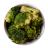 Broccoli (6oz)